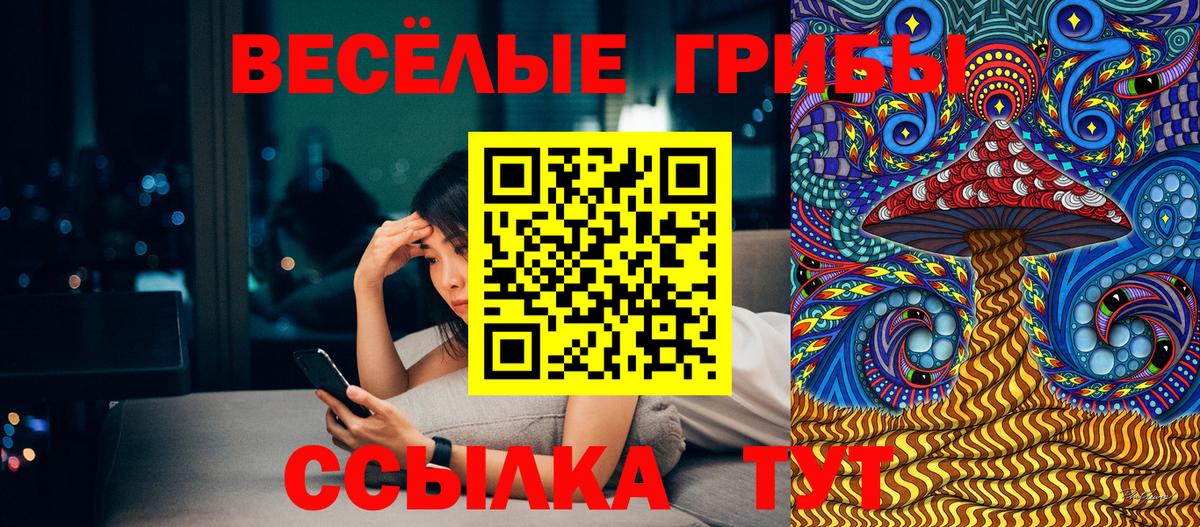 Псилоцибиновые грибы Magic Shrooms  Галлюциногенные грибы Psilocybe  Вход с VPN  Александров 