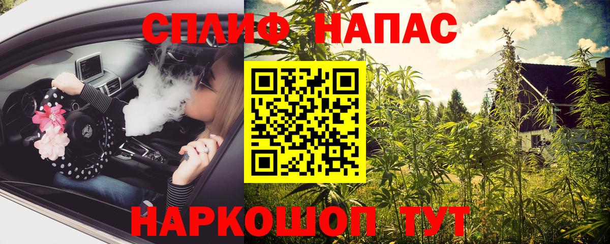 Александров  Каннабис марихуана  МАРИХУАНА ГИДРОПОН  Бошки марихуана семена  Канабис сатива  Вход с VPN 